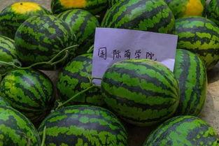 学校里吃瓜吃到自己,从旁观者到主角的奇妙转变