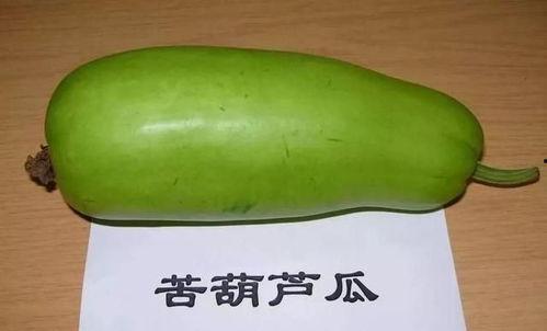 家瓜怎么吃,从挑选到美味呈现