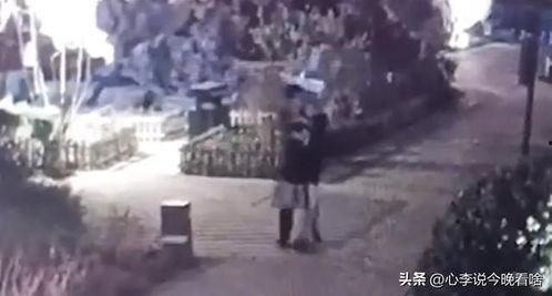 出殡吃瓜视频完整