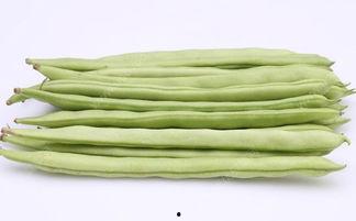 瓜和四季豆能一起吃吗,能否同食？