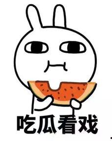 吃瓜闲置物品交流,闲置物品交易新风尚