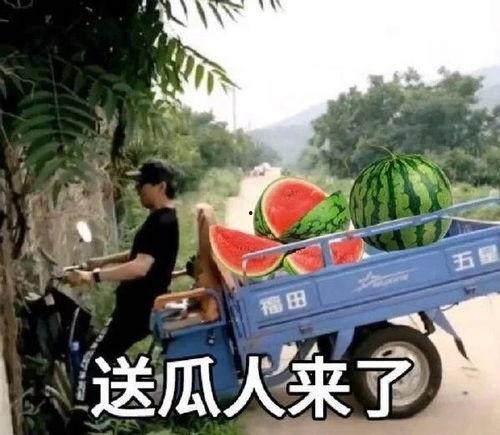 网上吃瓜博主的瓜从哪里来,瓜源何处来？