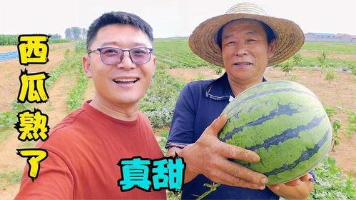 刘答应吃瓜,揭秘娱乐圈幕后真相