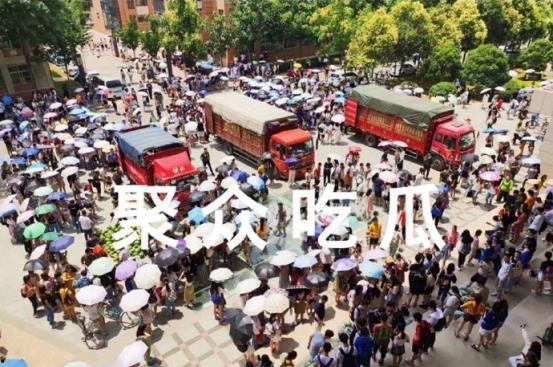 高校吃瓜资源,揭秘校园热点事件背后的真相