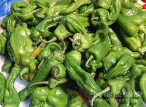 吃瓤的哈密瓜,探索吃瓤哈密瓜的独特风味