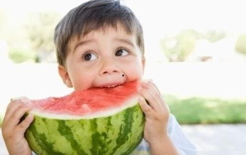 五熊吃瓜,揭秘娱乐圈的甜蜜与苦涩