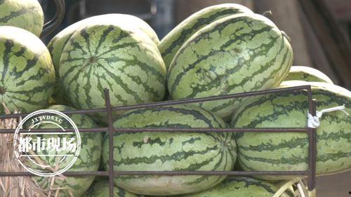 一天吃几颗瓜,健康生活每一天