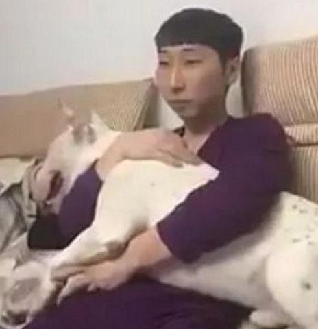 引得网友吃瓜不断,吃瓜不断，揭秘娱乐圈最新热点事件