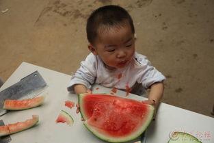 唐僧不肯吃瓜,坚守佛门戒律