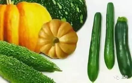 秋日吃瓜是什么时候吃,揭秘最佳吃瓜时节