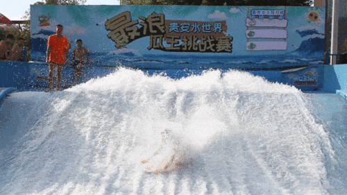 吃瓜冲浪人,畅游网络人生