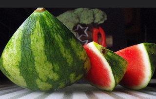 宠尤怎么吃瓜,一场网络热词背后的趣味解读