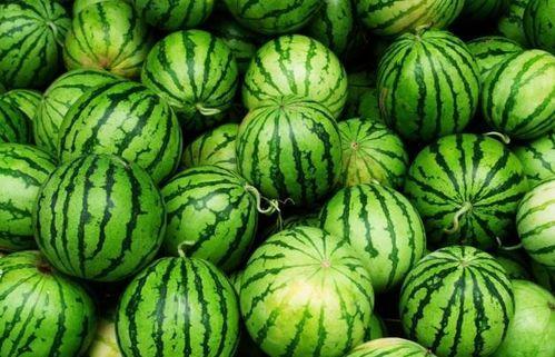 夏天最有什么瓜吃,尽享清凉美味