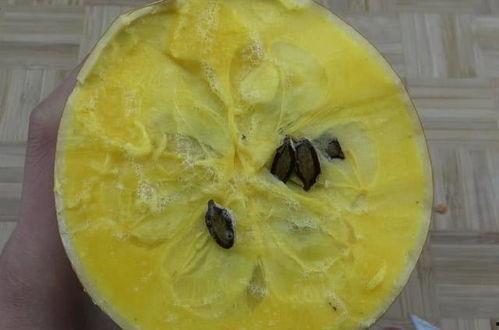 南美火腿瓜怎么吃,南美火腿瓜的多彩食法探索