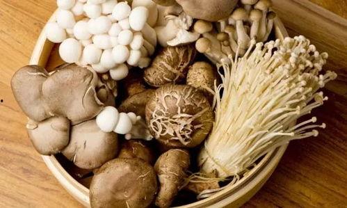 减肥吃角瓜蘑菇好吗