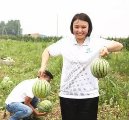 傅菁女团吃瓜,揭秘吃瓜背后的真相