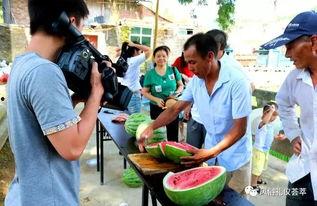 吃瓜群众路人甲洗碗
