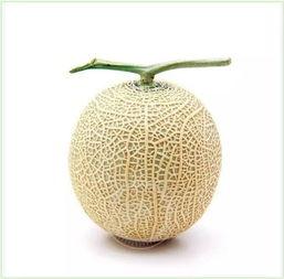 吃瓜群众玉盘,揭秘娱乐圈的“吃瓜”风云