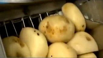 吃货菌的瓜,吃货菌带你揭秘美食界的那些秘密瓜