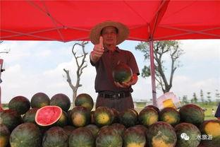 瓜娃快乐吃瓜,揭秘娱乐圈幕后故事