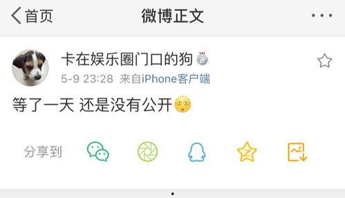 爆料吃瓜在线,吃瓜群众在线追踪爆料风云