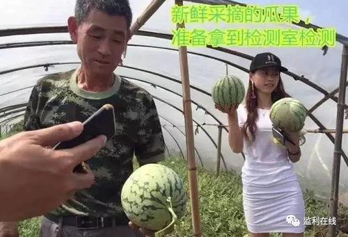 直播吃瓜群众视频,吃瓜群众视角下的瓜界风云