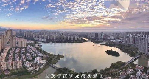 世茂海峡吃瓜,揭秘吃瓜群众的狂欢盛宴