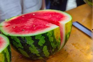 网上吃瓜大胖,揭秘网络红人的崛起之路