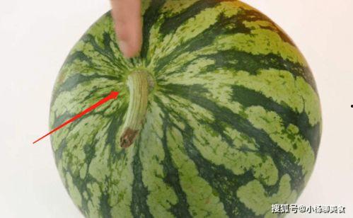 什么瓜吃不甜什么梗,探寻民间智慧与生活趣味