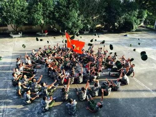 军事吃瓜群众,军事吃瓜群众视角下的军营风云