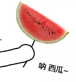 吃瓜吹风扇头像