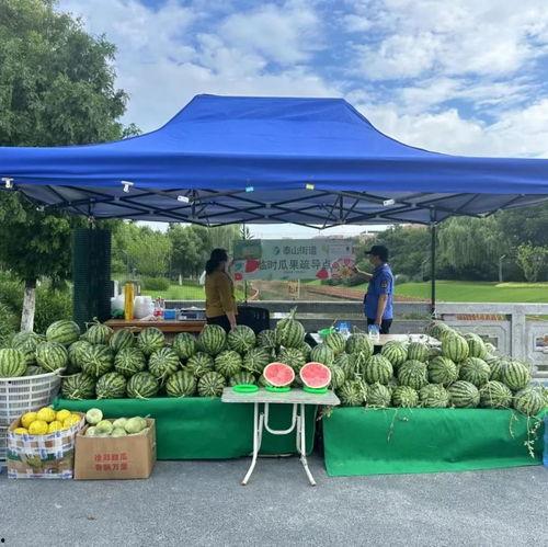 群众吃瓜的风景,群众吃瓜的欢乐时光