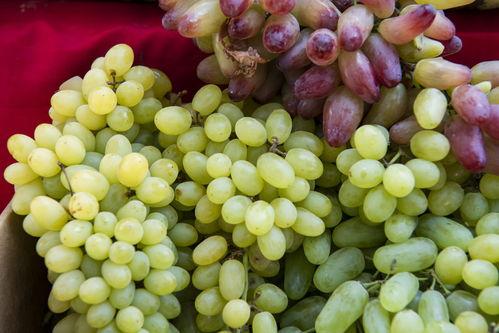 哈密蜜瓜怎么吃最好