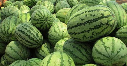 梦见摘大瓜吃,摘得大瓜，品味人生甘甜