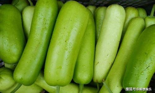 包瓜咋吃,探索夏日清凉美食之旅