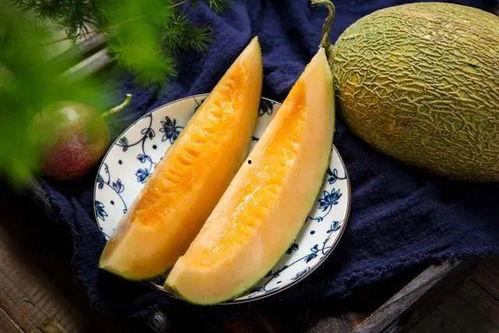 哈密瓜是几月份吃的,揭秘哈密瓜的最佳食用月份