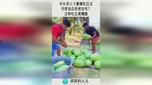 子豪吃瓜,揭秘娱乐圈幕后故事