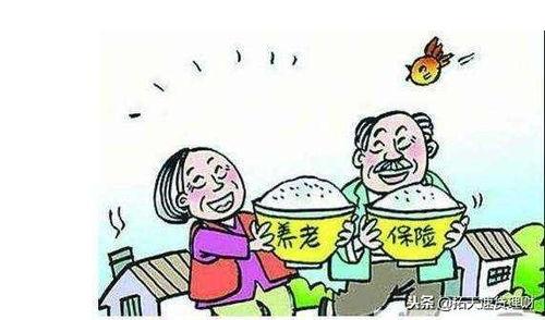 吃瓜养老保险