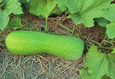 34岁中年吃瓜,揭秘娱乐圈背后的故事